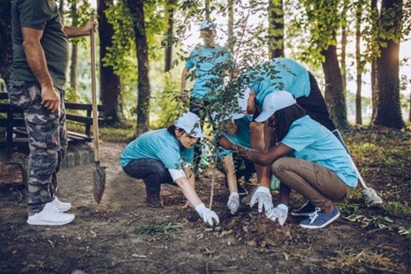 Group in blue tops planting tree